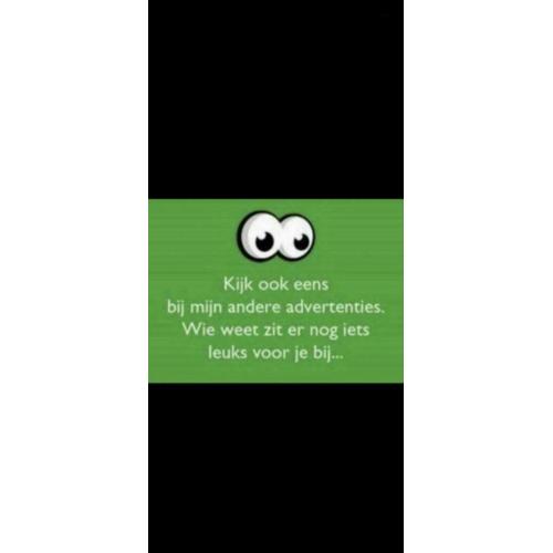 Thomas earnshaw dameshorloge