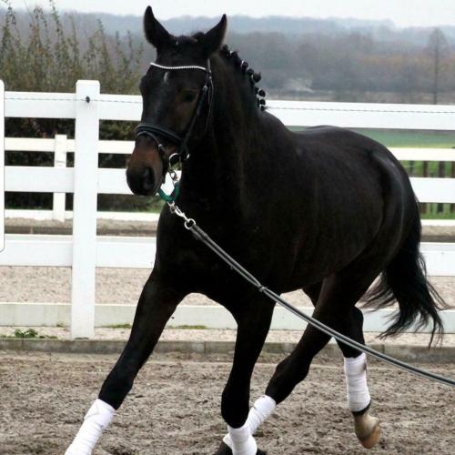 Super brave en mooie 3 jarige