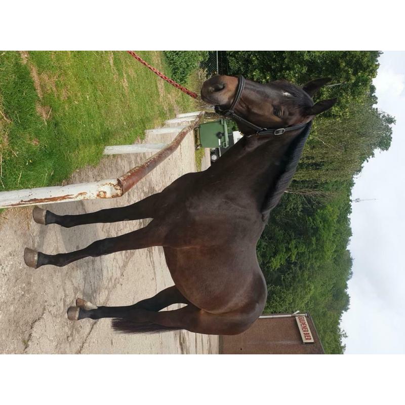Super brave en mooie 3 jarige