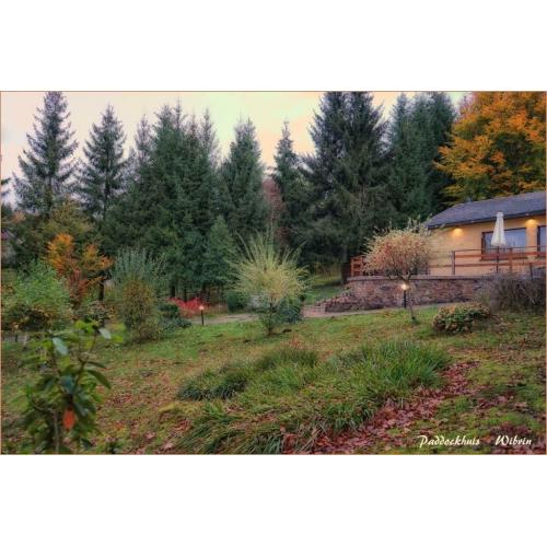 ARDENNEN: PADDOCKHUIS alleen voor ECHTE genieters 6PERS