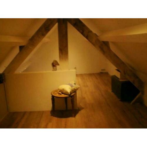 renovatiewerken, begeleiding van werken