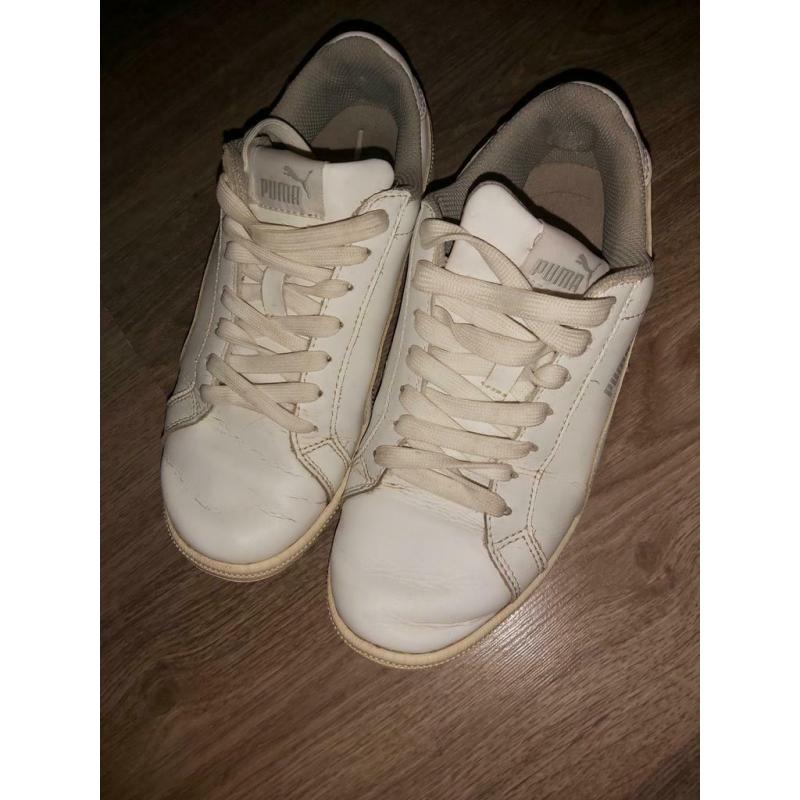 Basket puma