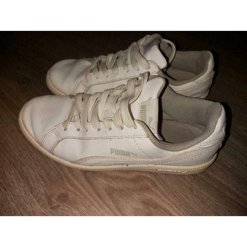 Basket puma