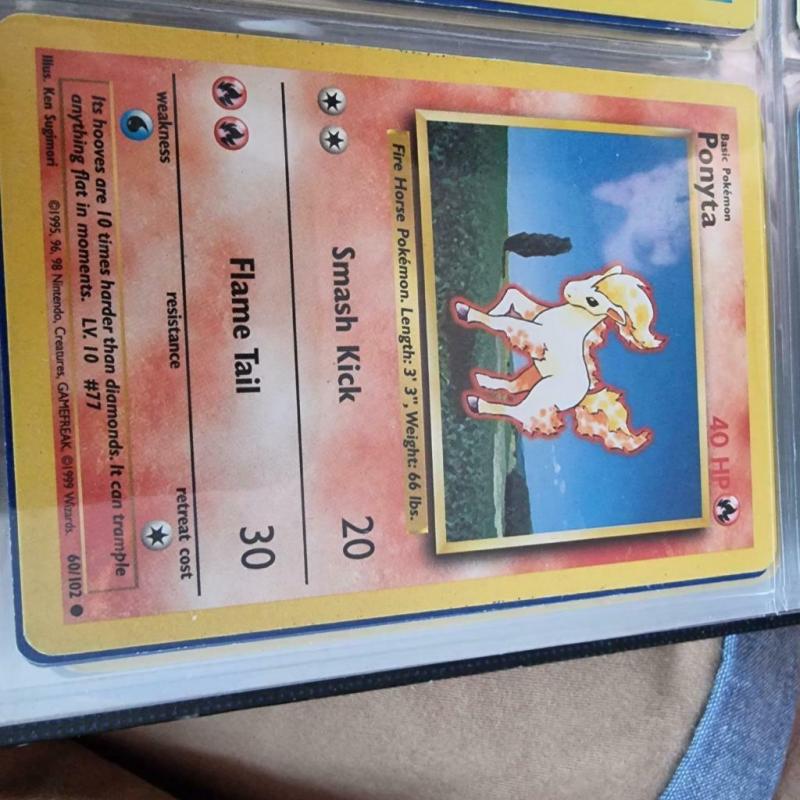 Ponyta